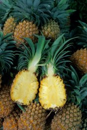 Comoros-Archipelago;-France;-Fruit;-Indian-Ocean;-Kaleidos;-Kaleidos-images;-La-parole-à-limage;-Laurent-Abad;-Mayotte;-Pineapple;-Stories-Pictures;-Tropical-fruit;-Victoria-pineapple